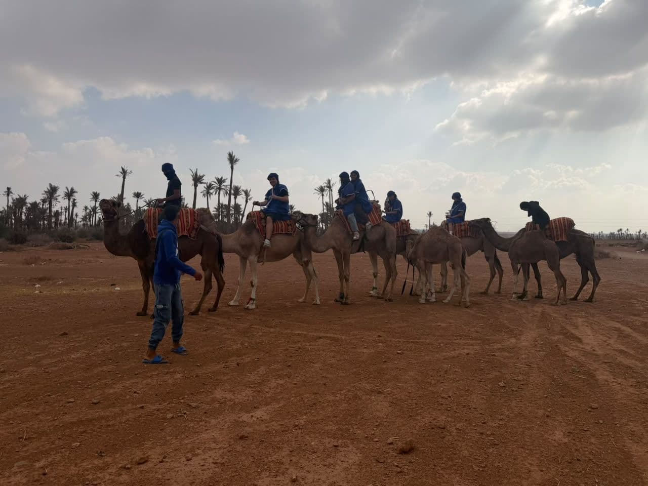 People riding camels in a desert with palm trees under a cloudy sky.