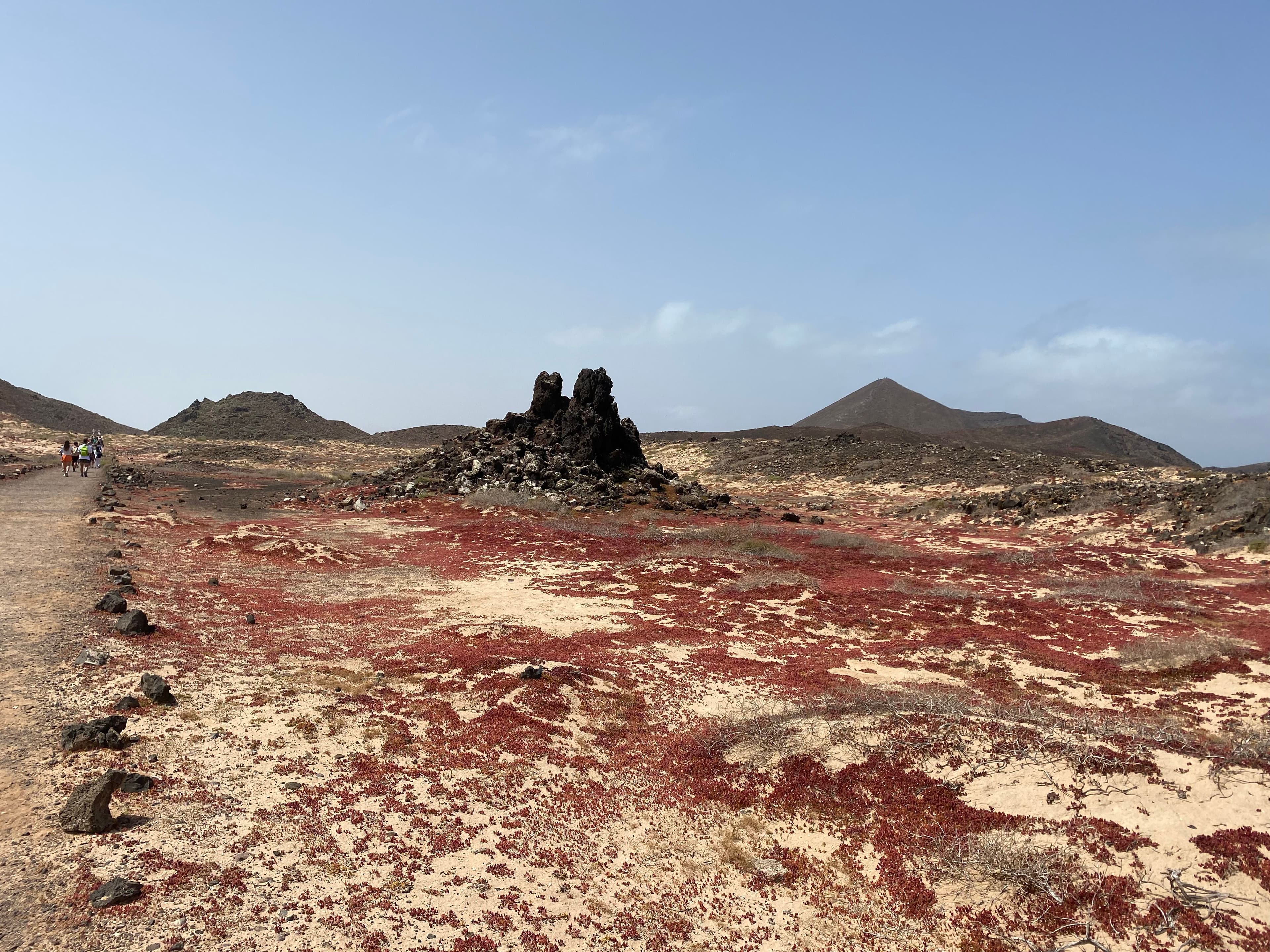 A barren, sandy landscape dotted with patches of vibrant red plants, dark volcanic rocks, and distant hills.