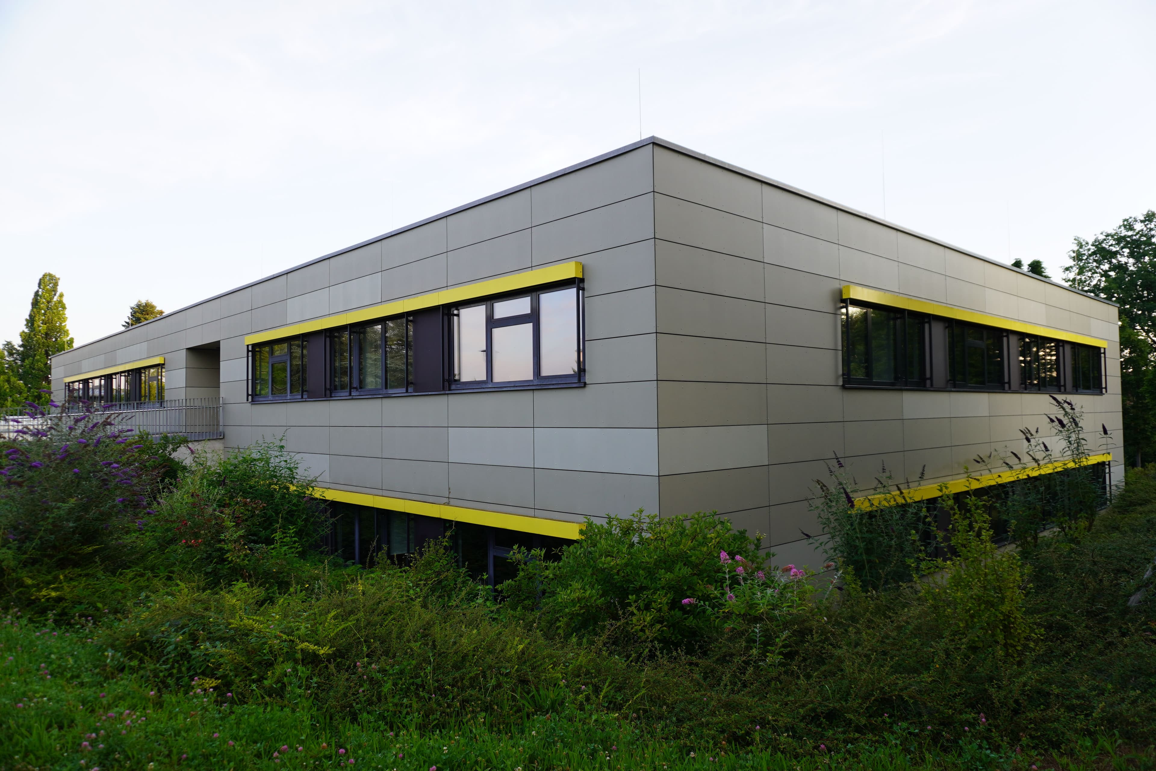 a large building (Oberstufenbau) with a lot of windows is surrounded by grass and bushes .