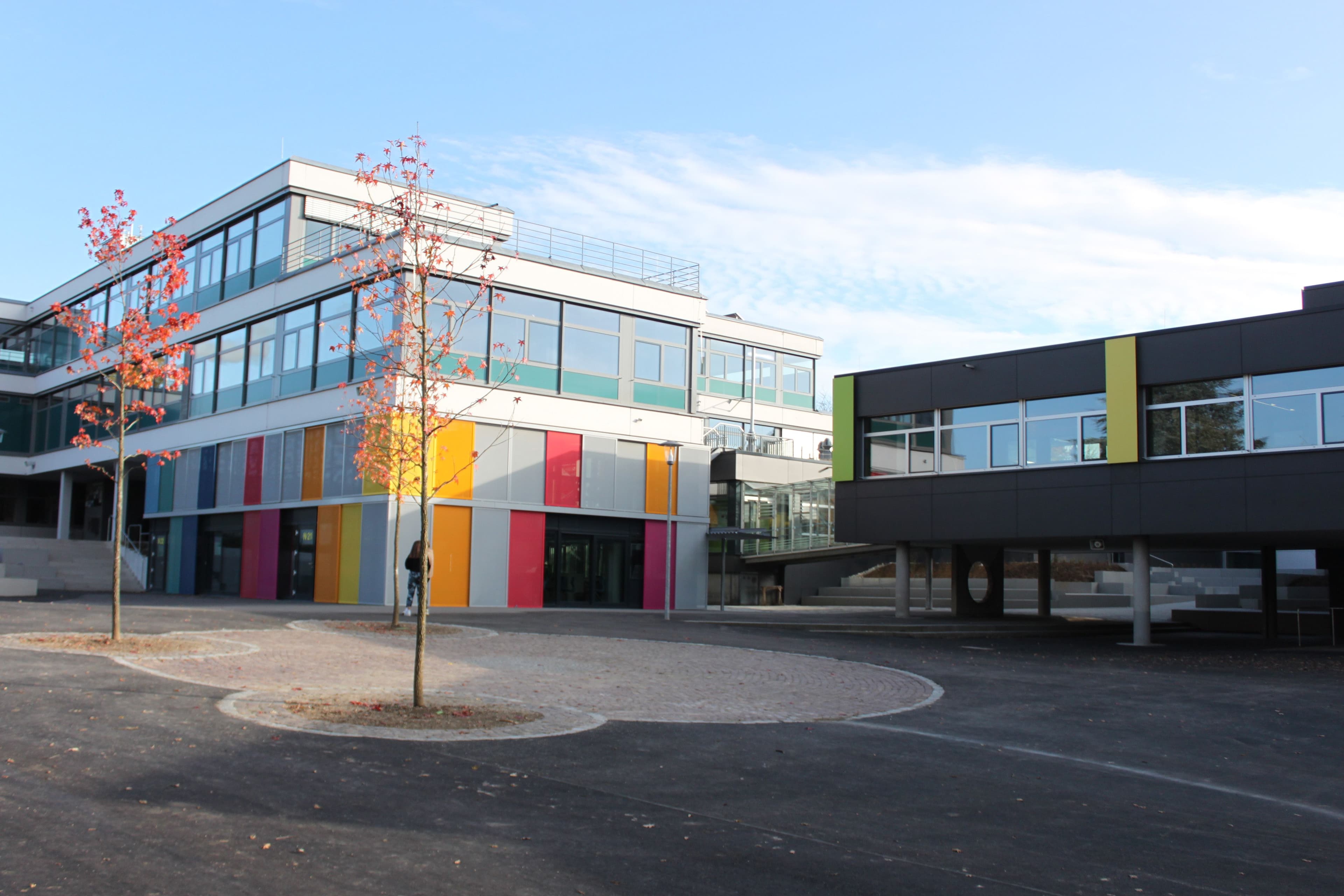 Ein großes Schulgebäude mit vielen Fenstern und einem Baum davor.